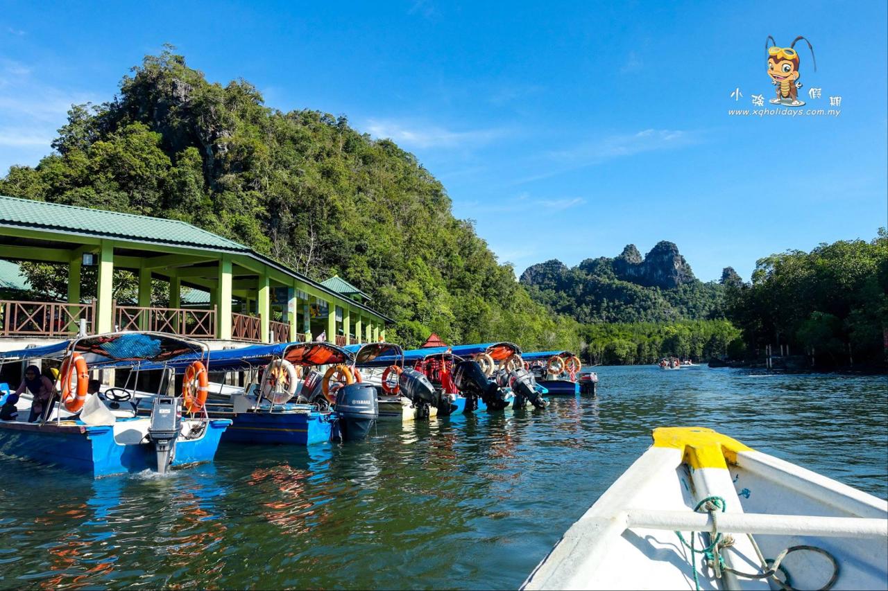 Mangrove Tour Langkawi: Jelajahi Keindahan Ekosistem Pesisir